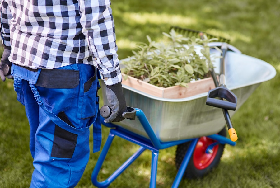 The Importance of Regular Lawn Maintenance in Toronto