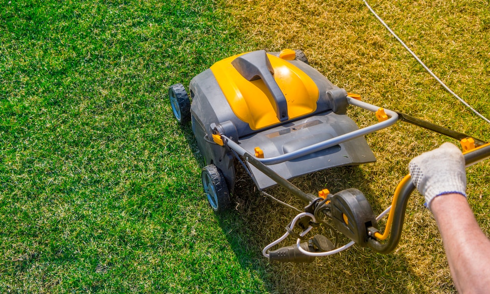 The Importance of Regular Lawn Maintenance in Toronto